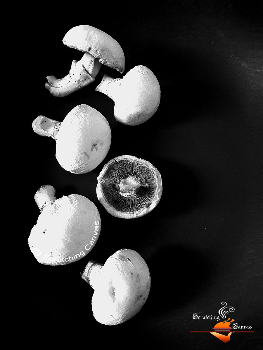 Mushroom Black & white Food Photography